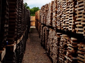 Staves Being Aged