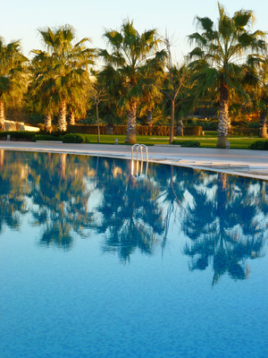 Hotel Pool and Palms Photo: Rainer Sturm  / pixelio.de 